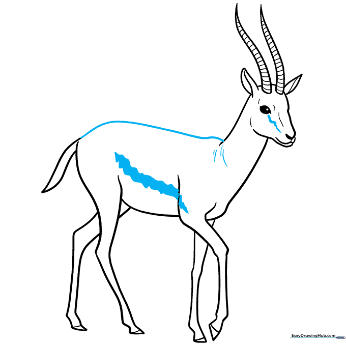 Finalizing the gazelle outline and adding decorative side stripes.