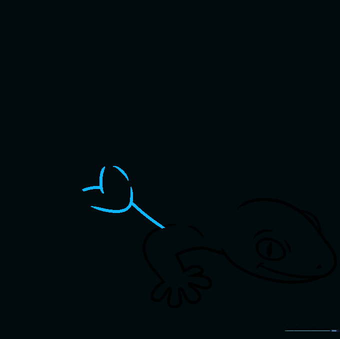 Outline of the gecko's belly and the start of the rear leg.