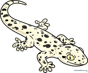 A colorful cartoon gecko illustration, perfect for kids to learn drawing.