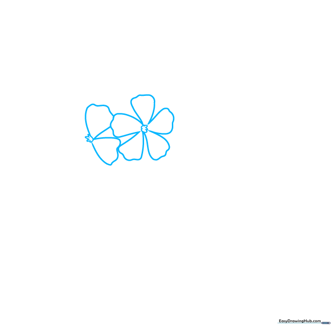 Close-up of a pencil sketch showing the jagged center of a single geranium flower petal cluster.