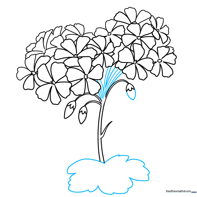 Drawing showing the addition of a large, serrated leaf attached to the main stem.