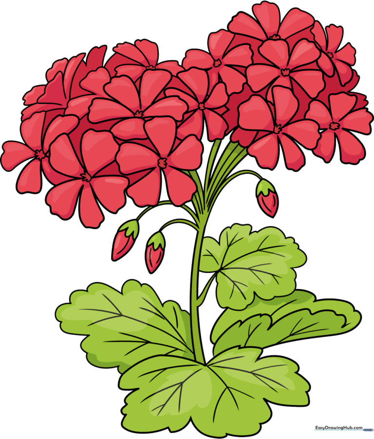 A vibrant, finished drawing of a red geranium flower with green leaves, presented as a high-quality art project.