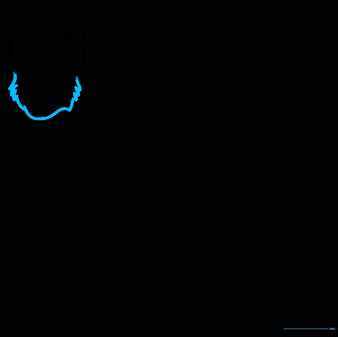 The outline of the dog's cheeks and snout using jagged, fur-like pencil strokes.