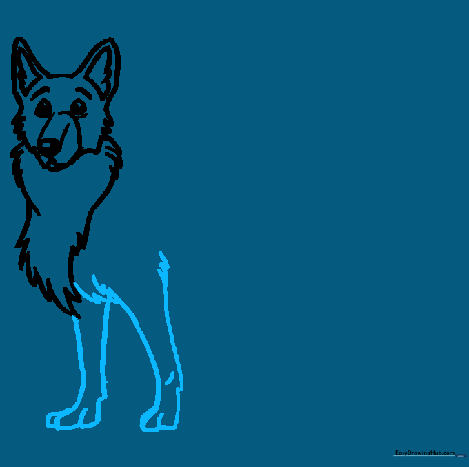 Two front legs with rounded paws and small fur details at the ankles.