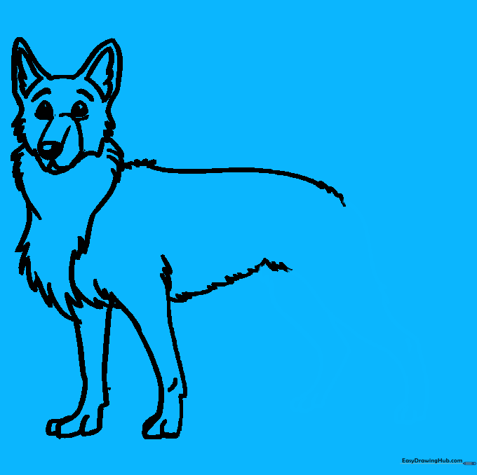 The rear legs of the dog, showing the characteristic bend at the hock.