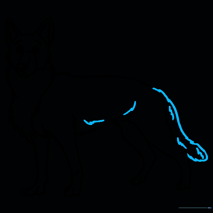 A long, bushy tail added to the rear of the dog's body.