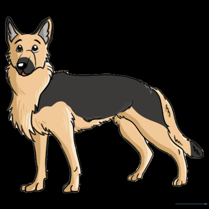 A fully colored German Shepherd drawing with classic black and tan markings.