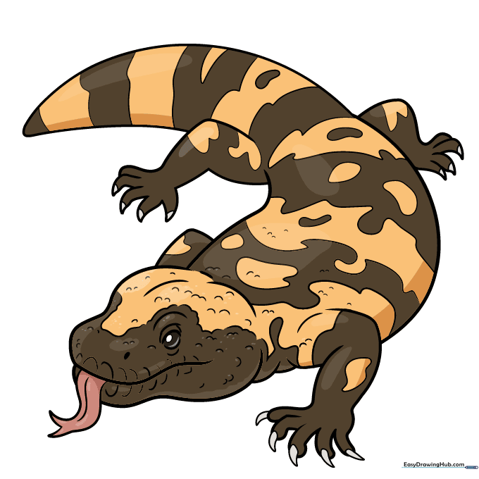 Fully colored Gila monster drawing with black and orange patterns.