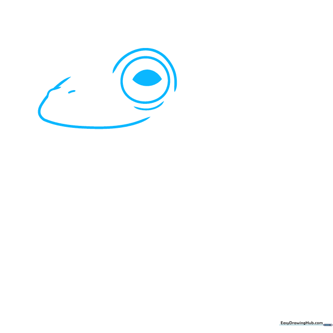 Close-up pencil sketch of a glass frog's eye and snout showing the initial circular eye shape and pointed pupil.