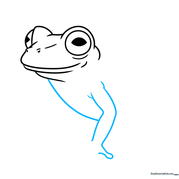 Pencil sketch showing the frog's chest and the beginning of the front leg structure.