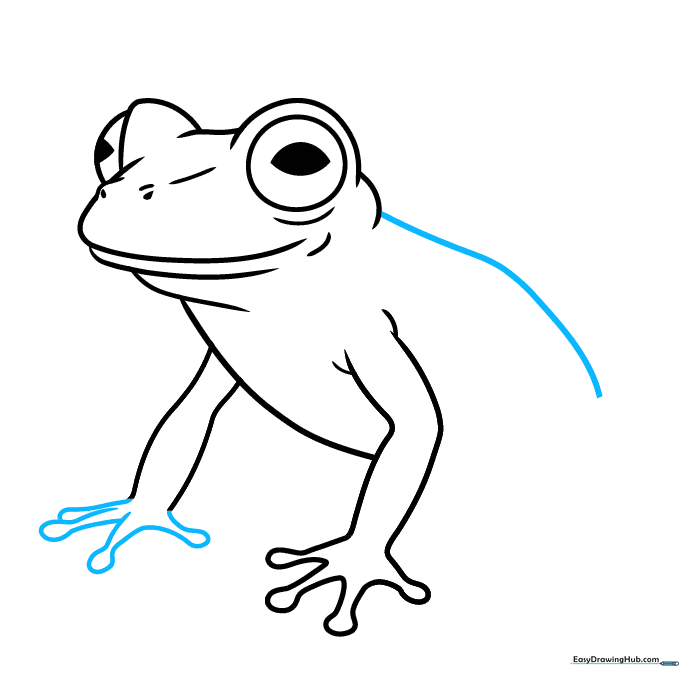 Sketching the frog's back using a long, continuous curved line.