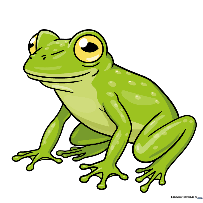 Final colored illustration of a glass frog with green skin and yellow spots.