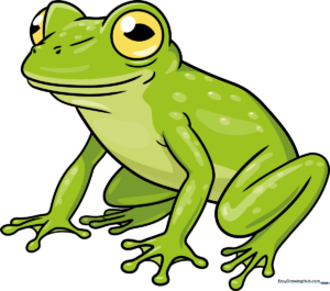 A vibrant, finished drawing of a glass frog resting on a leaf, showcasing the final artistic result.