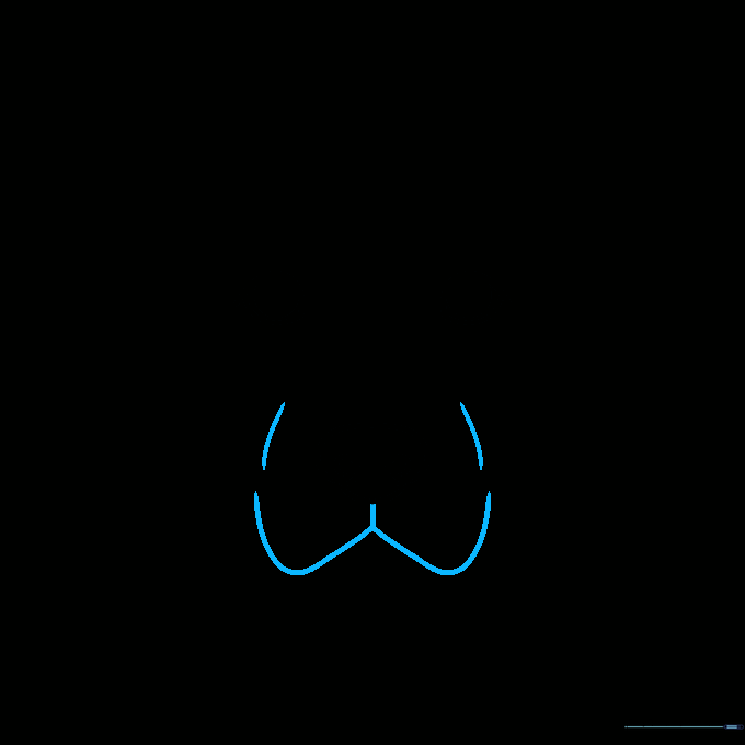 Sketching the muzzle area with an inverted Y-line and curved snout contours.