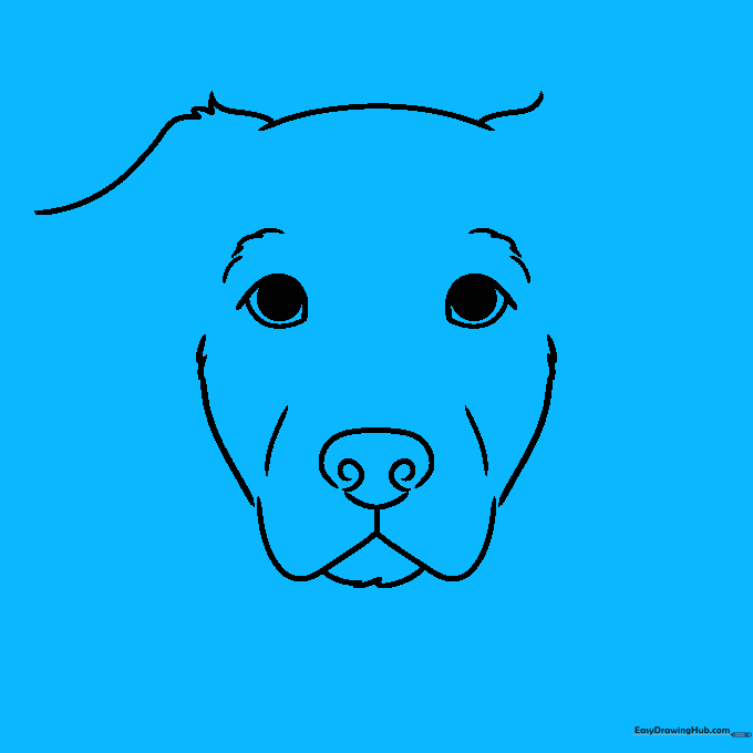 Detailed drawing of long, floppy dog ears with jagged fur texture at the base.