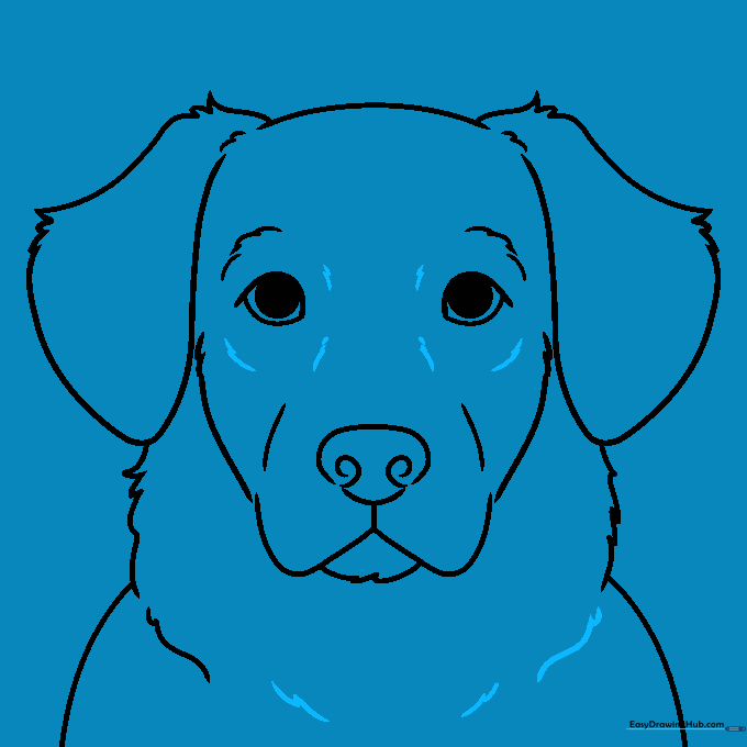 The completed line art of a Golden Retriever face, ready for coloring.