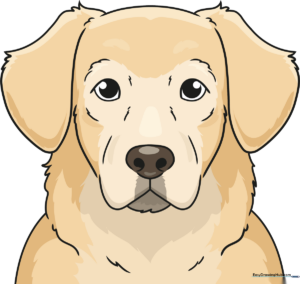 A vibrant, finished illustration of a happy Golden Retriever face.