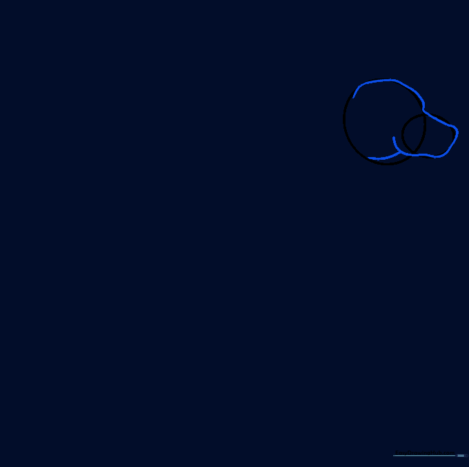Drawing the outline of a dog's head profile over the initial circular guides.
