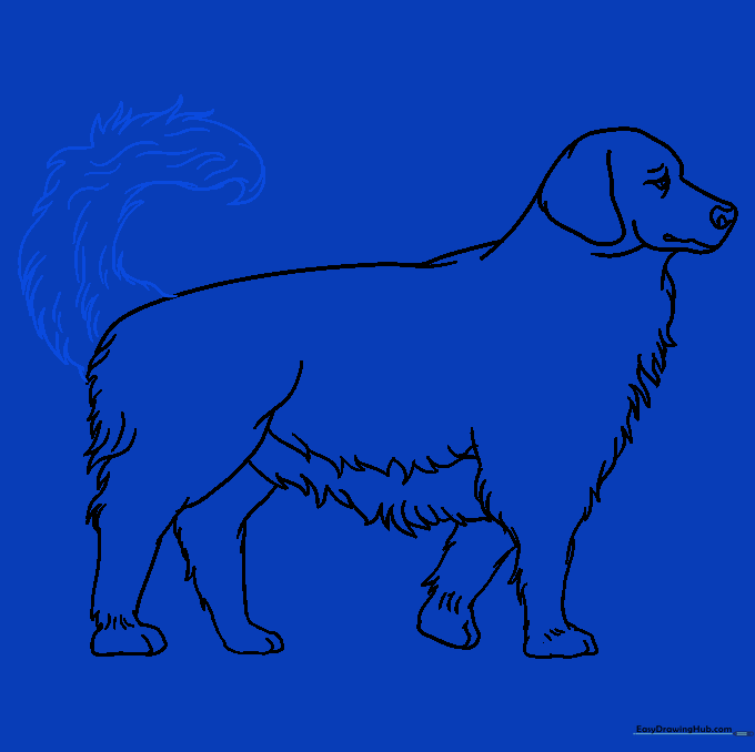 Drawing a bushy, curled tail on the dog.