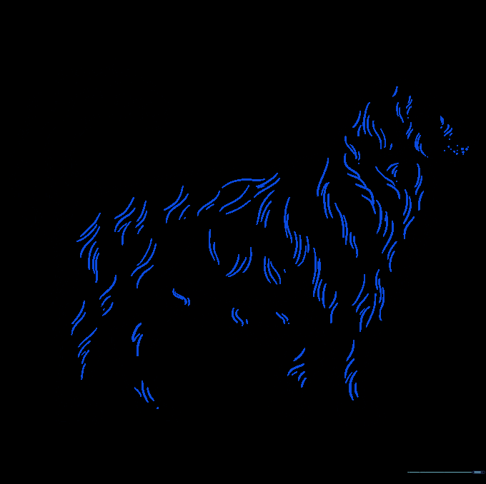 Adding final fur texture lines across the dog's body.