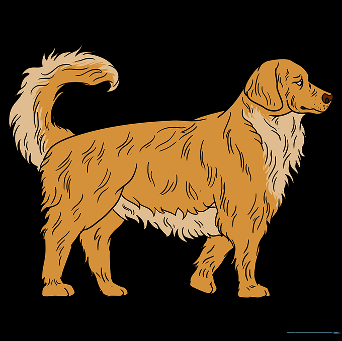 The finished Golden Retriever drawing, colored with shades of gold and brown.
