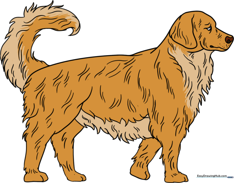 A friendly, cartoon-style Golden Retriever sitting, ready to be drawn.