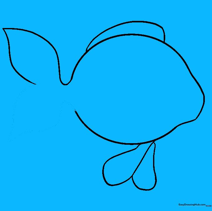 The completed tail section of the goldfish.