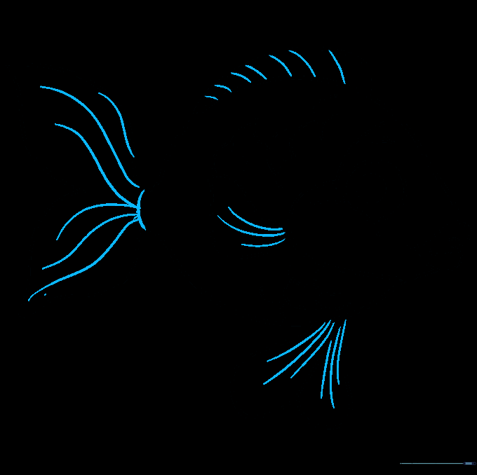 Final line work added to the fins and tail for detail.