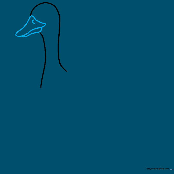 Detail view of the goose's beak with a small nostril mark added.