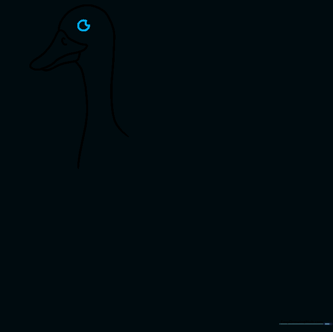 Close up of the goose's head showing the crescent-shaped eye.