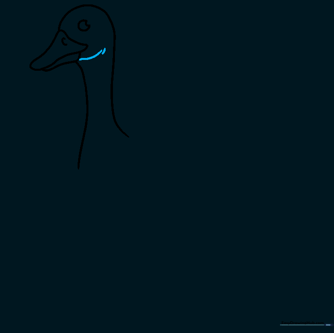 Head of the goose with added contour lines to define the face shape.