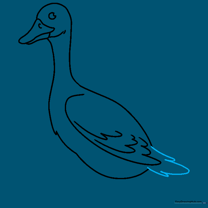 Goose drawing with the tail feathers added at the rear.