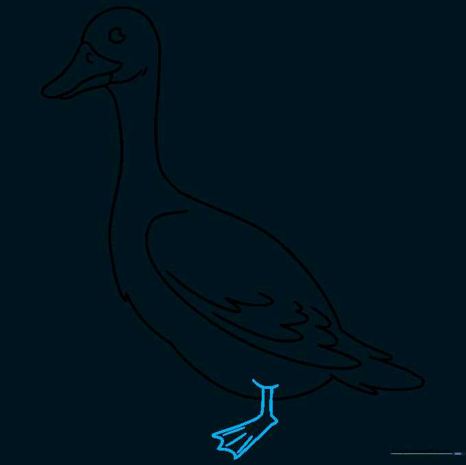 Goose drawing showing the addition of a webbed foot and leg.