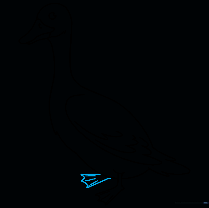 Goose drawing with both feet completed, showing the bird standing.