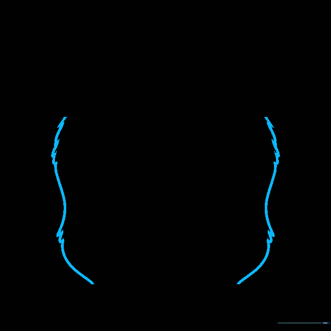 The sides of the gorilla's face are drawn, connecting the head to the chin.