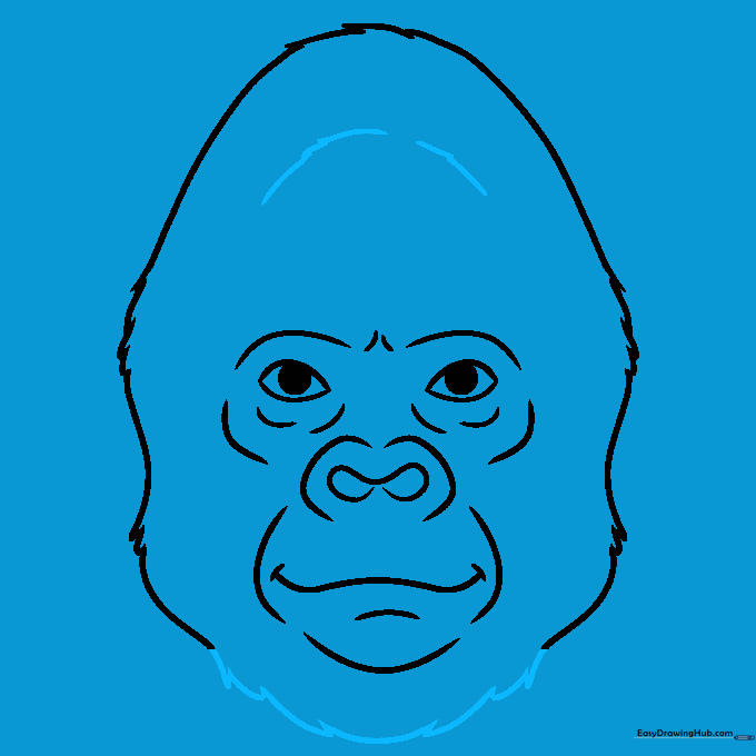 Additional fur textures added to the chin and forehead areas.