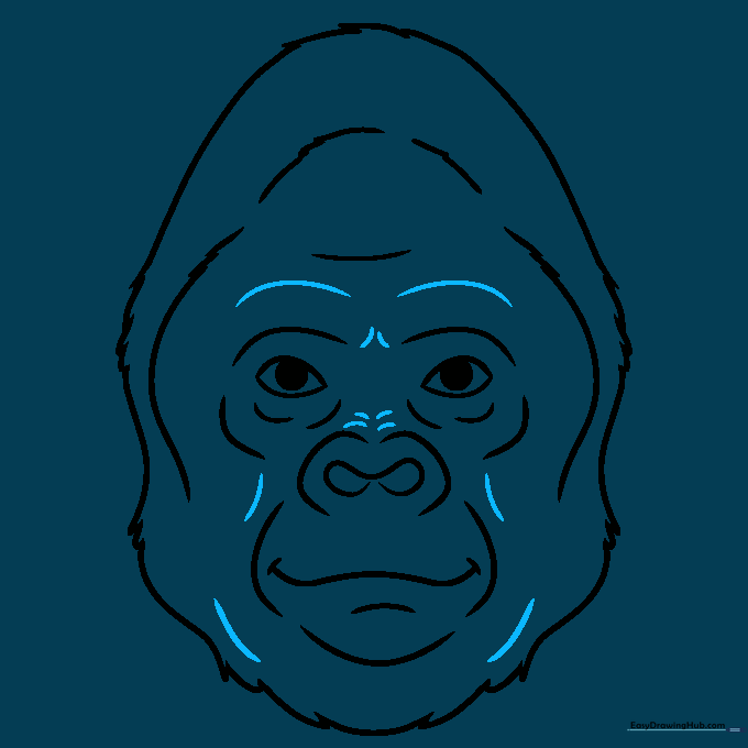 The completed gorilla face outline with all final details and contours.