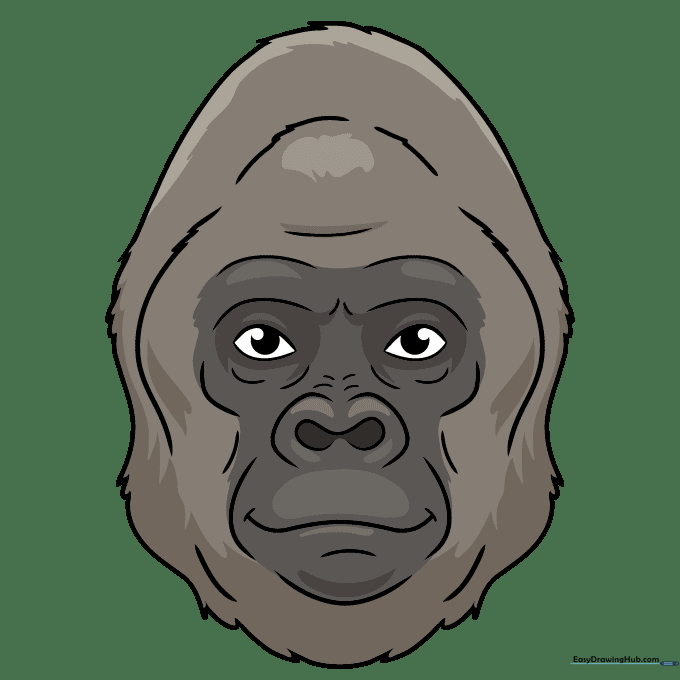 A fully colored gorilla face drawing with realistic fur shading.