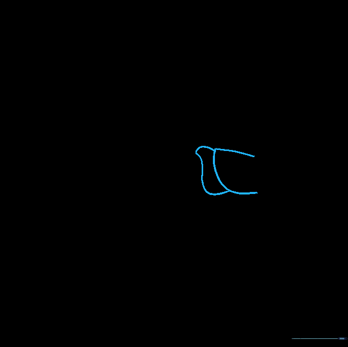 The grasshopper head connected to a wavy, irregular thorax shape.