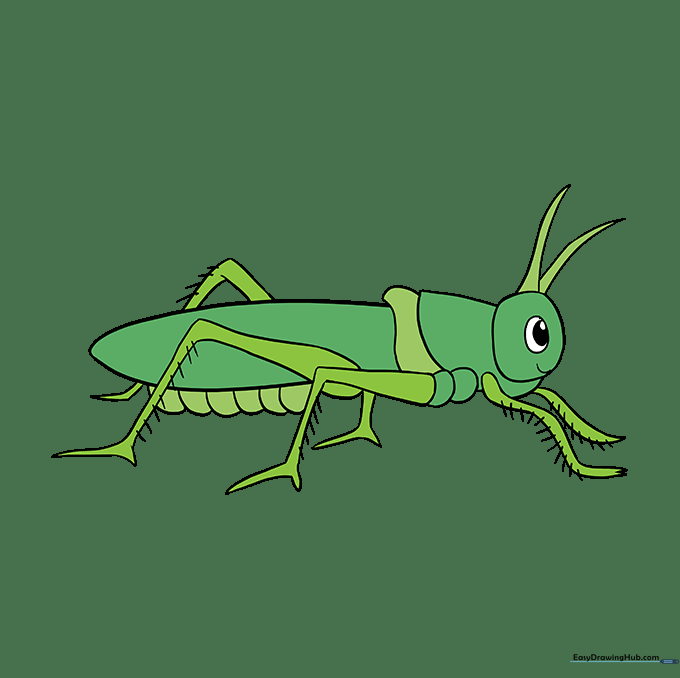 A fully colored, vibrant green grasshopper drawing.