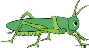 A colorful, finished grasshopper illustration set against a clean background.