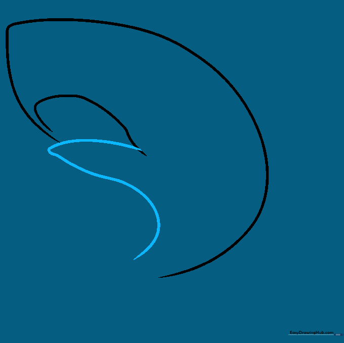 Drawing the lower jaw and belly line connecting to the main body.