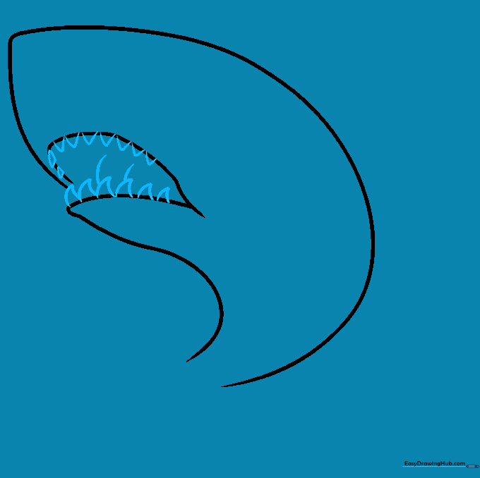 Sketching sharp triangular teeth inside the mouth and gill slits on the side.