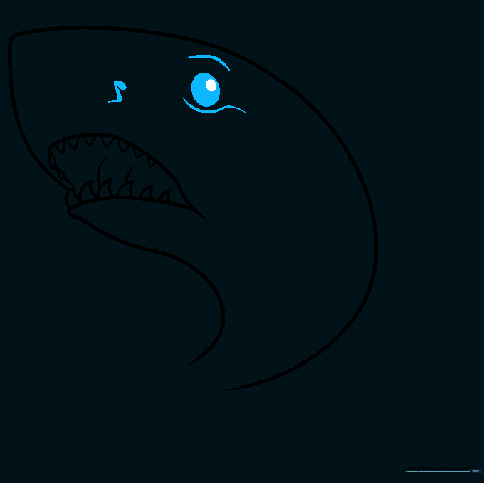 Detailing the shark's eye with a pupil and adding a nostril nearby.