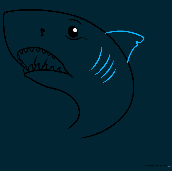 Adding the iconic triangular dorsal fin to the shark's back.