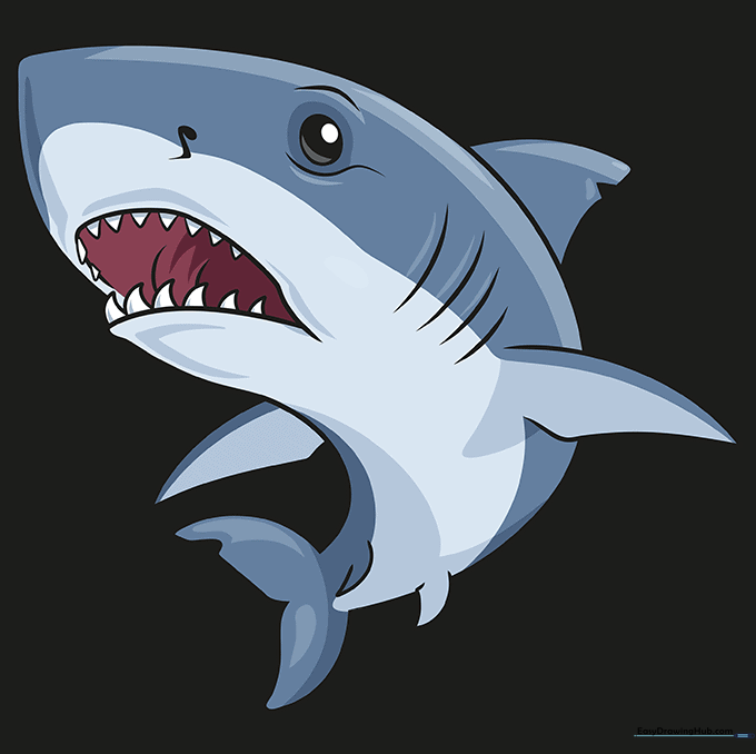 A finished, colored illustration of a Great White Shark with grey and cream tones.