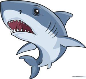 A vibrant, finished drawing of a Great White Shark, showcasing the final result of the tutorial.