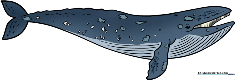 A colorful, friendly cartoon grey whale swimming in the ocean.