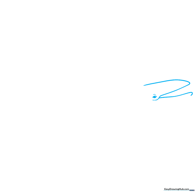 Line drawing of a grey whale head showing the jaw and eye placement.
