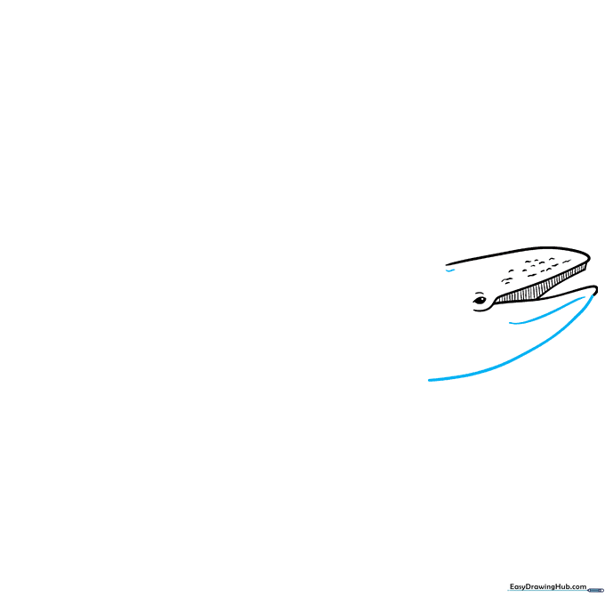 Close up of the whale head with a blowhole detail added.